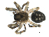  ( - BIOUG00164-B04)  @12 [ ] CC-0  G. Blagoev 2010 Unspecified
