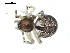  ( - BIOUG00165-A08)  @12 [ ] CC-0  G. Blagoev 2010 Unspecified
