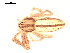  ( - BIOUG00165-D09)  @13 [ ] CC-0  G. Blagoev 2010 Unspecified