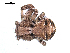  ( - BIOUG00165-F02)  @12 [ ] CC-0  G. Blagoev 2010 Unspecified