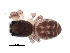  ( - BIOUG00165-G09)  @12 [ ] CC-0  G. Blagoev 2010 Unspecified