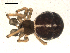  ( - BIOUG00166-B04)  @13 [ ] CC-0  G. Blagoev 2010 Unspecified