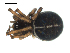  ( - BIOUG00166-E04)  @12 [ ] CC-0  G. Blagoev 2010 Unspecified