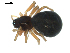  ( - BIOUG00166-E06)  @12 [ ] CC-0  G. Blagoev 2010 Unspecified
