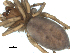  ( - BIOUG00166-E08)  @12 [ ] CC-0  G. Blagoev 2010 Unspecified