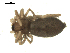  ( - BIOUG00166-F06)  @11 [ ] CC-0  G. Blagoev 2010 Unspecified