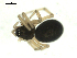  ( - BIOUG00166-F09)  @12 [ ] CC-0  G. Blagoev 2010 Unspecified