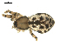  ( - BIOUG00166-G04)  @12 [ ] CC-0  G. Blagoev 2010 Unspecified