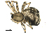  ( - BIOUG00166-G05)  @12 [ ] CC-0  G. Blagoev 2010 Unspecified