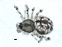  ( - BIOUG00166-G10)  @12 [ ] CC-0  G. Blagoev 2010 Unspecified