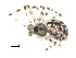  ( - BIOUG00166-H03)  @12 [ ] CC-0  G. Blagoev 2010 Unspecified