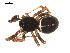  ( - BIOUG00167-A01)  @12 [ ] CC-0  G. Blagoev 2010 Unspecified