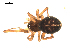  ( - BIOUG00167-A02)  @13 [ ] CC-0  G. Blagoev 2010 Unspecified