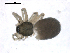  ( - BIOUG00167-B06)  @13 [ ] CC-0  G. Blagoev 2010 Unspecified