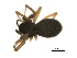  ( - BIOUG00167-B12)  @12 [ ] CC-0  G. Blagoev 2010 Unspecified