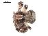  ( - BIOUG00167-D06)  @12 [ ] CC-0  G. Blagoev 2010 Unspecified