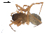  ( - BIOUG00167-F03)  @12 [ ] CC-0  G. Blagoev 2010 Unspecified