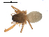  ( - BIOUG00167-F05)  @12 [ ] CC-0  G. Blagoev 2010 Unspecified
