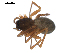  ( - BIOUG00167-F09)  @12 [ ] CC-0  G. Blagoev 2010 Unspecified