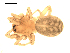  ( - BIOUG00167-H05)  @12 [ ] CC-0  G. Blagoev 2010 Unspecified