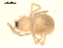  ( - BIOUG00167-H08)  @12 [ ] CC-0  G. Blagoev 2010 Unspecified