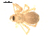  ( - BIOUG00167-H09)  @12 [ ] CC-0  G. Blagoev 2010 Unspecified