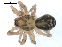  ( - BIOUG00168-A02)  @12 [ ] CC-0  G. Blagoev 2010 Unspecified