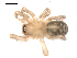  ( - BIOUG00168-A08)  @12 [ ] CC-0  G. Blagoev 2010 Unspecified