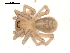  ( - BIOUG00168-B10)  @12 [ ] CC-0  G. Blagoev 2010 Unspecified