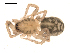  ( - BIOUG00168-B11)  @12 [ ] CC-0  G. Blagoev 2010 Unspecified