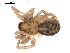  ( - BIOUG00168-B12)  @12 [ ] CC-0  G. Blagoev 2010 Unspecified