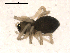  ( - BIOUG00168-C06)  @12 [ ] CC-0  G. Blagoev 2010 Unspecified