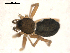  ( - BIOUG00168-F03)  @12 [ ] CC-0  G. Blagoev 2010 Unspecified