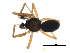  ( - BIOUG00168-G04)  @12 [ ] CC-0  G. Blagoev 2010 Unspecified
