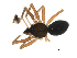  ( - BIOUG00168-G07)  @12 [ ] CC-0  G. Blagoev 2010 Unspecified
