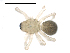 ( - BIOUG00168-G11)  @12 [ ] CC-0  G. Blagoev 2010 Unspecified