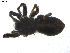 ( - BIOUG00170-B11)  @12 [ ] CC-0  G. Blagoev 2010 Unspecified