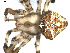  ( - BIOUG00170-C07)  @12 [ ] CC-0  G. Blagoev 2010 Unspecified
