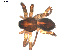  ( - BIOUG00170-F01)  @12 [ ] CC-0  G. Blagoev 2010 Unspecified