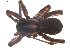  ( - BIOUG00170-F09)  @12 [ ] CC-0  G. Blagoev 2010 Unspecified