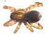  ( - BIOUG00170-F10)  @13 [ ] CC-0  G. Blagoev 2010 Unspecified