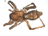  ( - BIOUG00170-G03)  @12 [ ] CC-0  G. Blagoev 2010 Unspecified