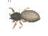  ( - BIOUG00170-G11)  @13 [ ] CC-0  G. Blagoev 2010 Unspecified