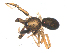  ( - BIOUG00170-H02)  @12 [ ] CC-0  G. Blagoev 2010 Unspecified