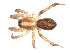 ( - BIOUG00170-H08)  @14 [ ] CC-0  G. Blagoev 2010 Unspecified