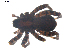  ( - BIOUG00198-F09)  @12 [ ] CC-0  G. Blagoev 2010 Unspecified