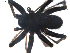  ( - BIOUG00198-G05)  @12 [ ] CC-0  G. Blagoev 2010 Unspecified