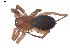  ( - BIOUG00198-G10)  @13 [ ] CC-0  G. Blagoev 2010 Unspecified