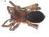  ( - BIOUG00198-G11)  @11 [ ] CC-0  G. Blagoev 2010 Unspecified