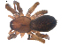  ( - BIOUG00198-G12)  @13 [ ] CC-0  G. Blagoev 2010 Unspecified